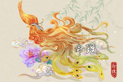 万年历老黄历看吉日_日历万年历_老黄历万年历